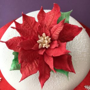Xmas1